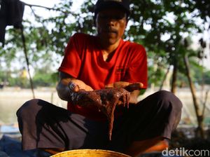 Berkah Kampung Cacing di Tengah Pandemi