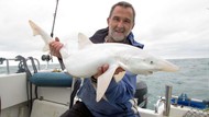Nelayan Inggris Temukan Hiu Super Langka, Warnanya Putih Semua