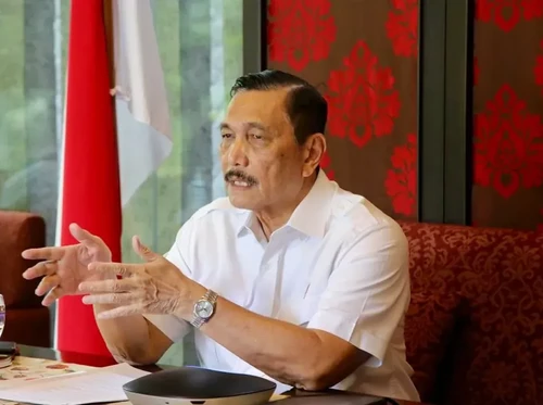 Luhut Ajak Anak Muda Kembangkan Potensi Ekonomi Hijau RI Pakai Cara Ini