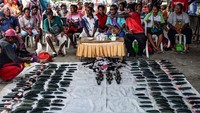 Terdapat 10 jenis tomako batu yang dianggap sebagai harta sekaligus harga diri dari Suku Mebri, yakni allowae hawa phu, alowae nokom phu, alowae Hebhe, yengge fee, khonge, raeme yalobho, penkhu, yanjang bhulu, angguangge ro, hawa bhu.  