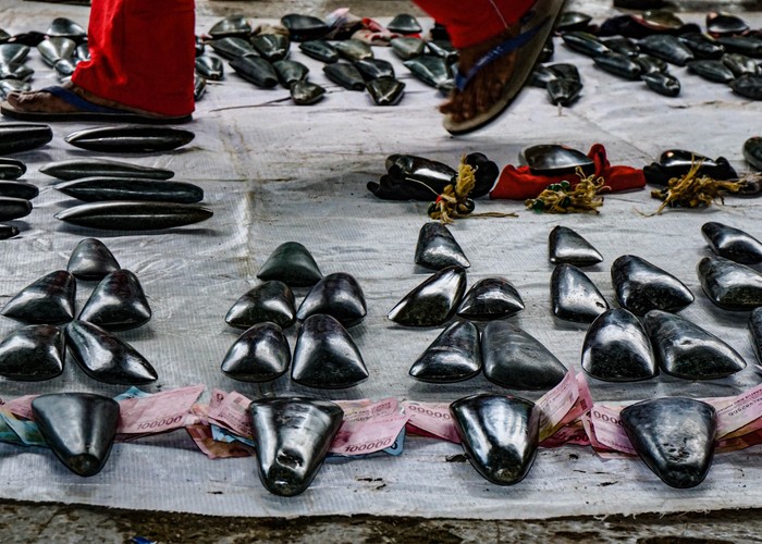 Keluarga Suku Olua (pihak laki-laki) menyiapkan uang untuk dibayar bersamaan dengan tomako batu kepada Suku Mebri (pihak perempuan) di Kampung Yoka, Kota Jayapura, Papua.