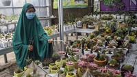 Pemilik kampung kaktus Palembang Fitri Dwi Juniarny (kiri) menyiram tanaman kaktus mini, di Palembang, Sumatera Selatan, Selasa (6/10/2020).