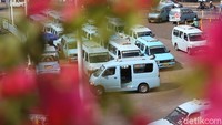 Kondisi ini dikeluhkan oleh sopir angkutan perkotaan (mikrolet) ini dikarenakan mereka tetap harus setoran.