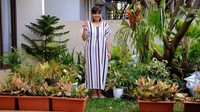 Tya Ariestya punya banyak koleksi tanaman, tapi sepertinya ia punya banyak Aglaonema di pekarangan rumahnya. Foto: Instagram