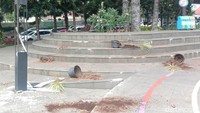 Lampu taman juga terlihat rusak.