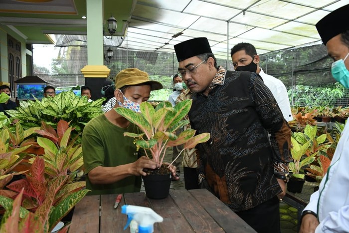 Wakil Ketua MPR RI Jazilul Fawaid menyempatkan diri mengunjungi Krokot Nursery di Desa Tridadi, Sleman dalam kunjungan kerjanya.