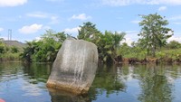 Foto: Batu laki-laki Situs Batu Beranak, Pulau Mantai, Danau Sentani bagian barat. (Dokumen Badan Arkeologi Papua)
