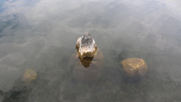 Benda-benda purbakala tampak jelas di Danau Sentani saat surut.