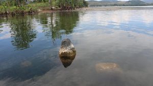 Ini Makna Spesial Benda Purbakala di Danau Sentani, Akan Diteliti Kembali