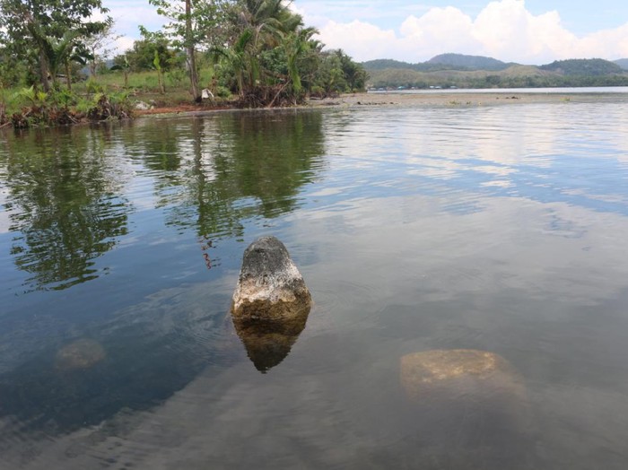 Benda-benda purbakala tampak jelas di Danau Sentani saat surut.