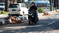 Pengendara melintas di samping deretan pot bunga yang pecah.