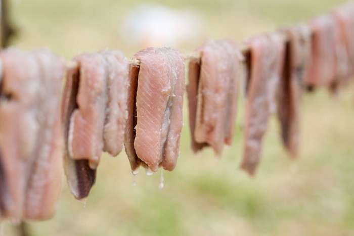 Ini 5 Makanan yang Baunya Paling Busuk di Dunia