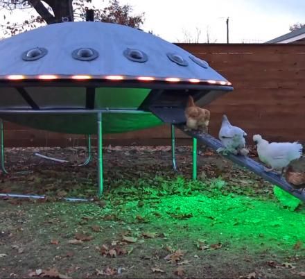 Keren! Kandang Ayam Ini Dibuat Mirip UFO yang Viral di Internet