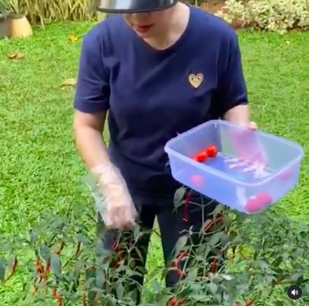 Puan Maharani Hobi Berkebun
