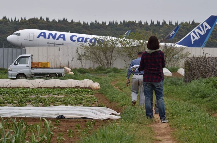 Petani yang tinggal di sawah tengah Bandara Narita.