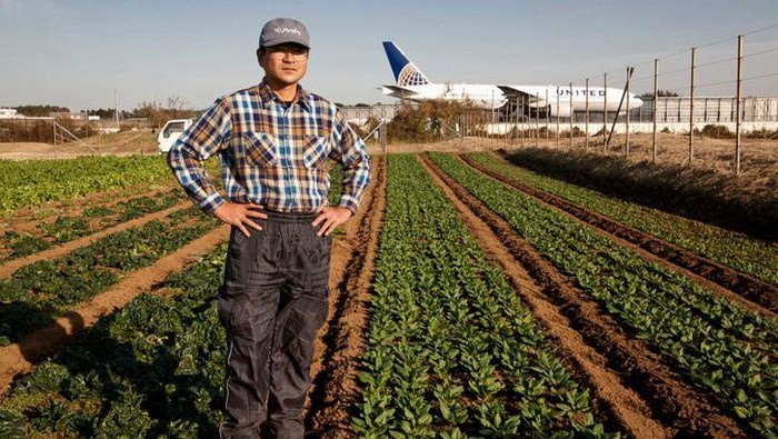 Petani yang tinggal di sawah tengah Bandara Narita.