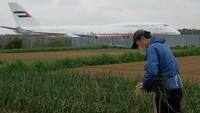 Untuk mencapai sawah keluarga yang terletak di tengah Bandara Narita, Takao harus mengaksesnya melalui lorong bawah tanah yang berada di bawah landasan pesawat menuju sawahnya. Belum lagi suara bising pesawat yang hilir mudik di kiri kanannya (Facebook)