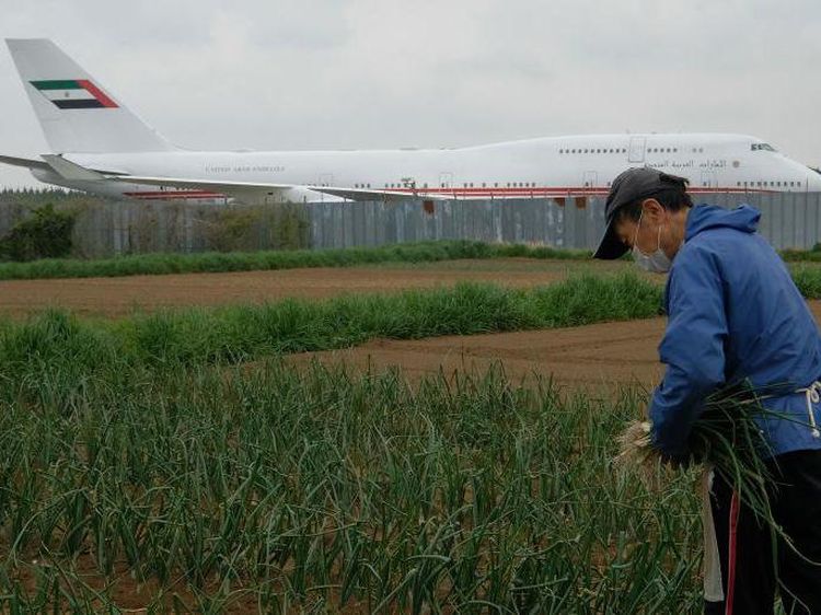 Nggak Bahaya Ta? Petani dan Sawahnya di Tengah Bandara Narita Jepang