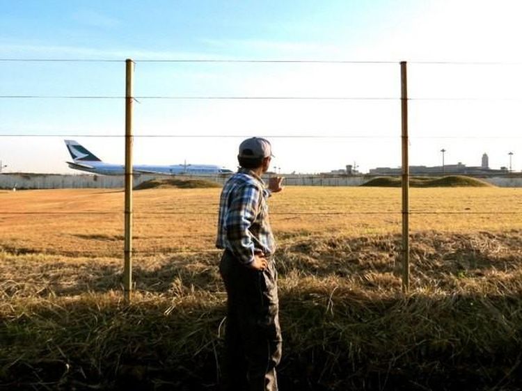 Potret Sawah Semata Wayang di Tengah Bandara Narita