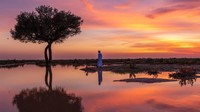 Rawdat Tinhat, destinasi wisata ini terletak 180 kilometer utara Kota Riyadh. Destinasi ini bakal membuat traveler tak merasa di Arab Saudi lagi.