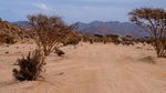 Aneka Destinasi Wisata Arab Saudi dalam Foto