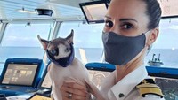 Kapten McCue sering mengajak kucing peliharaannya naik kapal pesiar. Kapten Kate McCue mengaku sering menemui pertanyaan soal ihwal dia mendapatkan pekerjaan dan cenderung sering mengabaikan. Namun pada kesempatan itu dia malah fokus kepada tata bahasa si penanya yang salah dituliskan. Istimewa/Dok. Instagram/captainkatemccue.