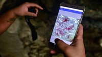 Di dalam ruangan gelap, arkeolog berhasil memeriksa dengan cermat. Mereka menggunakan aplikasi telepon seluler dengan cermat.