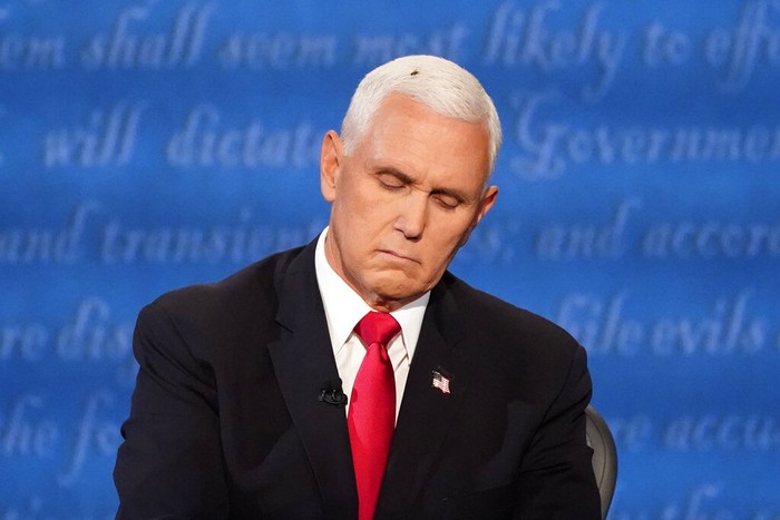 Lalat di Kepala Mike Pence Vice President Mike Pence listens to Democratic vice presidential candidate Sen. Kamala Harris, D-Calif., during the vice presidential debate Wednesday, Oct. 7, 2020, at Kingsbury Hall on the campus of the University of Utah in Salt Lake City. (AP Photo/Julio Cortez)