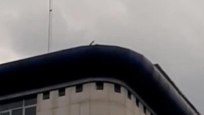 Screenshot ada pria misterius lemparkan batu dari atas gedung DPRD Medan ke arah massa demo (dok. Istimewa)
