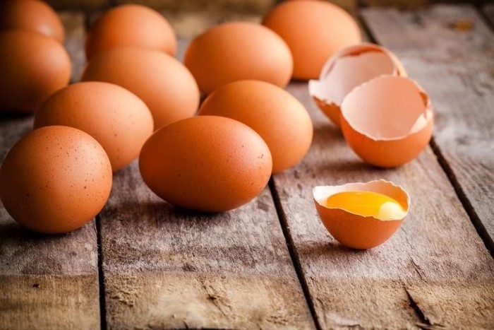Telur