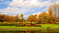 8. Dennistoun, Glasgow berbatasan dengan Necropolis ada Kota Mati yang dibangun bergaya Victoria dan merupakan lingkungan pelajar. Penilaian yang membuat menonjol adalah harga perumahan yang masuk akal oleh sebagian besar orang. Selain itu, ada Zero Waste Market, toko kelontong isi ulang yang menyiapkan kotak praktis berisi makanan selama lockdown dan Food Forest Alexandra Park tempat penduduk lokal dari semua latar belakang bertemu untuk bertanam. (CNN Travel)