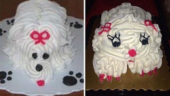 Foto di medsos dan ketika sampai di rumah.  Foto: Bored Panda 