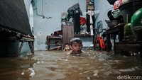 Beberapa diantaranya mereka bahkan tampak berenang di dalam rumah yang terendam banjir.