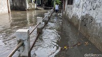 Banjir ini disebabkan oleh meluapnya anak sungai yang membelah Kelurahan Gunung, Kebayoran.