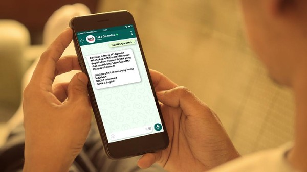 India Bikin Aplikasi Serupa WhatsApp dan Telegram