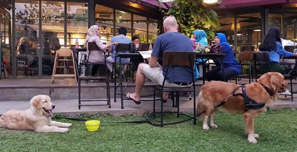 5 Kafe Ramah Anjing Peliharaan di Tangerang