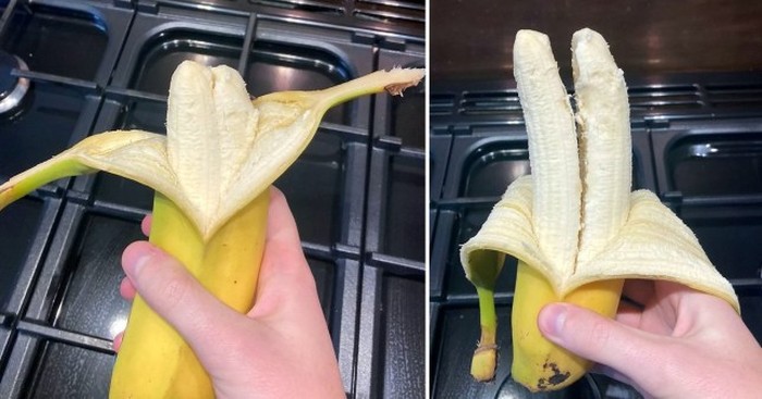 Pisang unik Berbuah Gantet dan Bertandan Seribu, 5 Fenomena Langka Pohon Pisang Unik