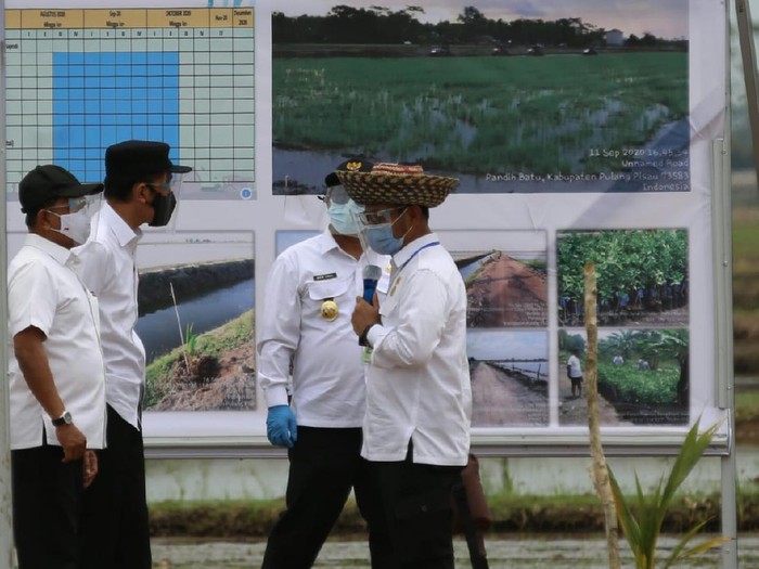 Presiden Jokowi dan Mentan Syahrul Yasin Limpo saat meninjau food estate di Kalimantan Tengah, Kamis (8/10/2020).