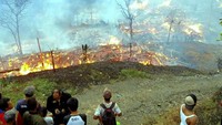 Kebakaran yang menghanguskan 21 rumah di kampung tersebut terjadi pada Kamis (8/10) sekitar pukul 16.30 WIB. (Relawan Sukabumi Sehati Gerak Bersama)