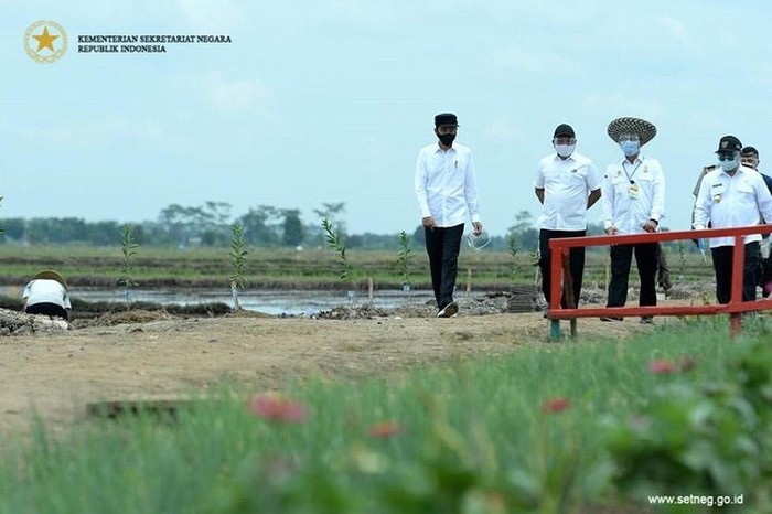 Tagar #Bebek dan #Itik Trending, Ini yang Dikunjungi Jokowi di Kalimantan