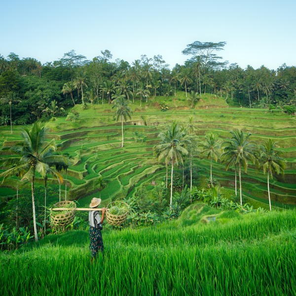 40. Banjar Nagi, Ubud: Banjar Nugi yang ada di Ubud, Bali berada di peringkat ke-40 lingkungan terkeren sejagat. Banjar Nagi dinilai sebagai kawasan yang kehidupan masyarakat dan komunitas serta bisnis yang padu. Di antara mereka bsia saling menjaga dan tidak menepikan satu sama lain. (Getty Images/iStockphoto/Beboy_ltd) 40. Banjar Nagi, Ubud: Banjar Nugi yang ada di Ubud, Bali berada di peringkat ke-40 lingkungan terkeren sejagat. Banjar Nagi dinilai sebagai kawasan yang kehidupan masyarakat dan komunitas serta bisnis yang padu. Di antara mereka bsia saling menjaga dan tidak menepikan satu sama lain. (Getty Images/iStockphoto/Beboy_ltd)