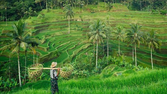 Ubud