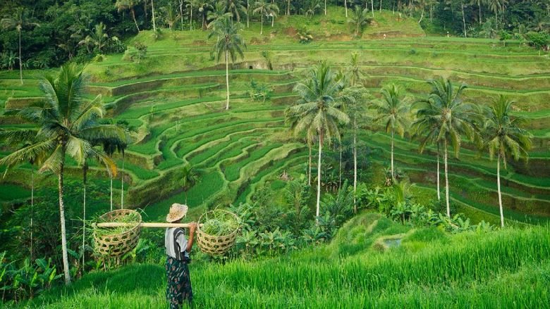 Ubud Ubud