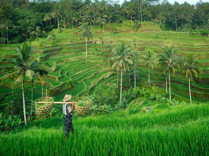 Ubud