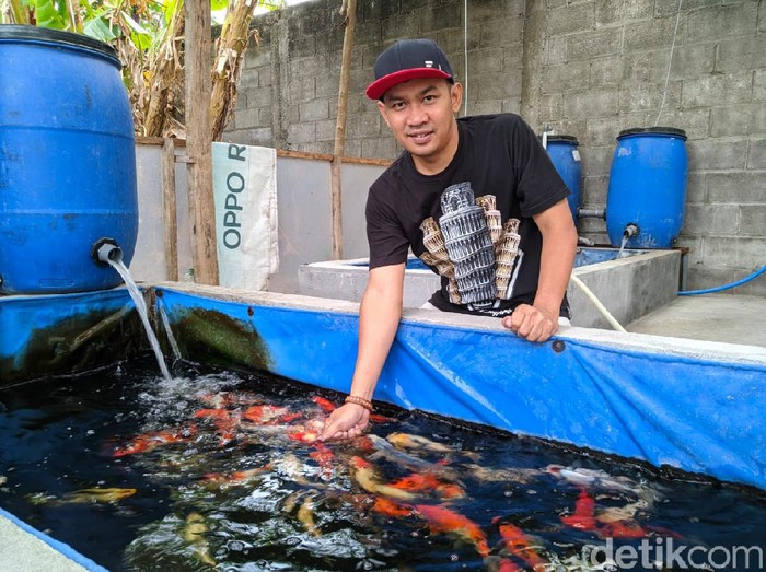 Di masa pandemi COVID-19, banyak orang yang memiliki banyak waktu di rumah sehingga bisa memaksimalkan hobi. Mulai dari hobi bersepeda, berkebun hingga memelihara ikan.