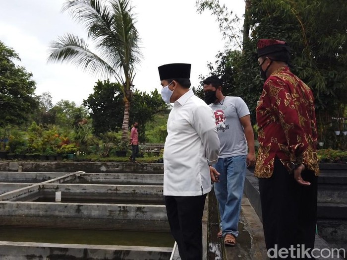 Sejumlah pelaku usaha di Banyuwangi terus berupaya untuk bertahan, di tengah situasi penurunan daya beli masyarakat di masa pandemi. Namun ada sejumlah bidang usaha yang justru mengalami peningkatan omzet. Salah satunya usaha ikan koi.