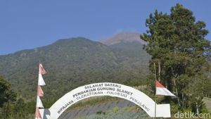 9 Gunung Tertinggi Di Pulau Jawa Favorit Para Pendaki