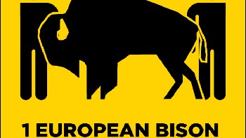 Polandia, satu Bison eropa (European bison). Foto: sadanduseless
