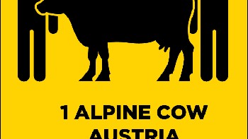 Austria,  satu sapi alpine. Foto: sadanduseless