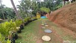 Kampung Teratai yang Indah di Ciamis